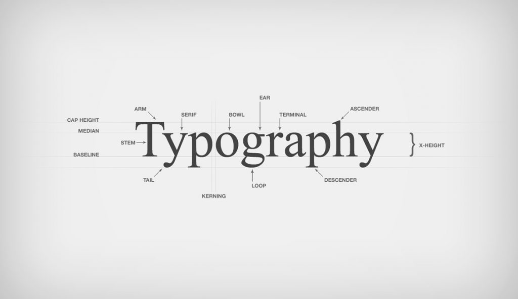 Komponen, Prinsip dan fungsi dalam Typography